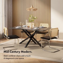 Set 2 scaune pt dining VonHaus 3000863, spatar din ratan, sezut din piele PU si cadru metalic argintiu, capacitate maxima 110 kg